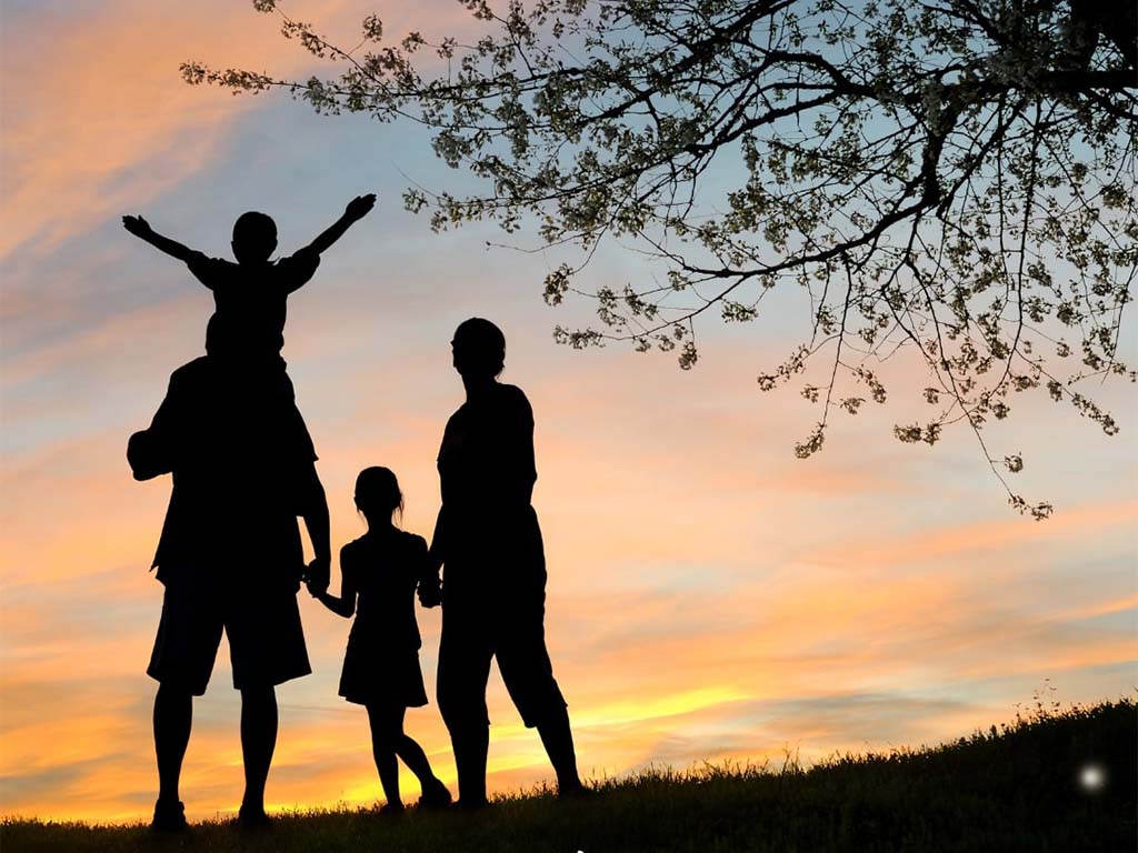 Raíces Emocionales y Descodificación Transgeneracional: Explorando tu Legado