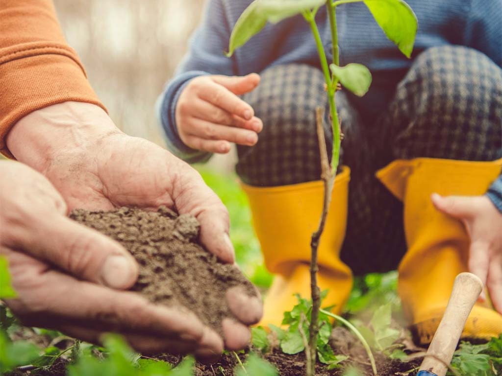 Investiga la Herencia Emocional de tu Familia con el Péndulo